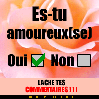 es-tu amoureux???